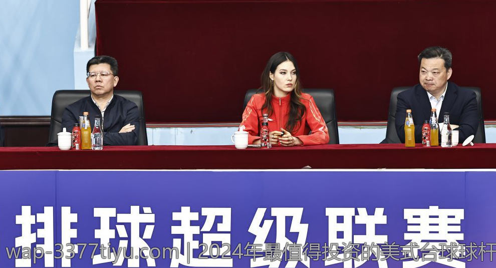 2024年最值得投资的美式台球球杆品牌排行榜