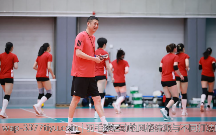 羽毛球运动的风格流派与不同打法解析
