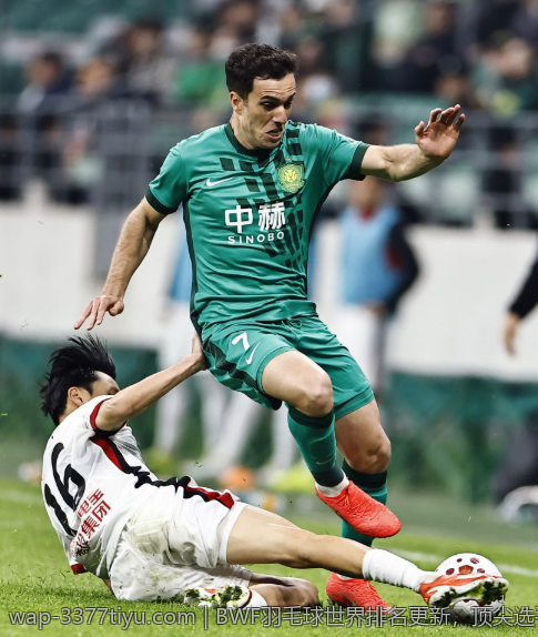 BWF羽毛球世界排名更新，顶尖选手最新排名分析