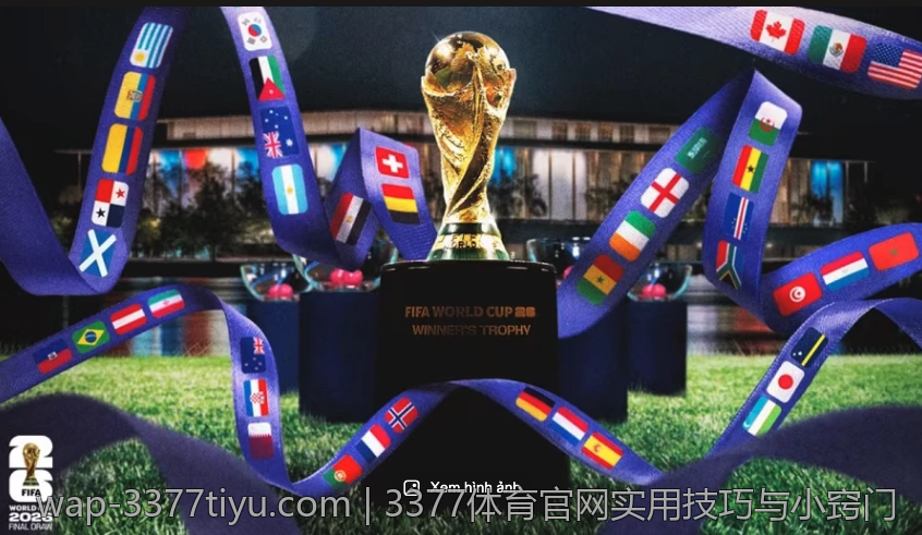 3377体育官网实用技巧与小窍门